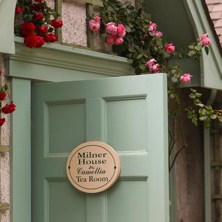 Pink and red roses growing around a door